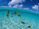 17_Tropical_coast_1024x768 17_Tropical_coast_1024x768