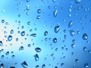 71_Vista_water_drops_1280x1024 71_Vista_water_drops_1280x1024