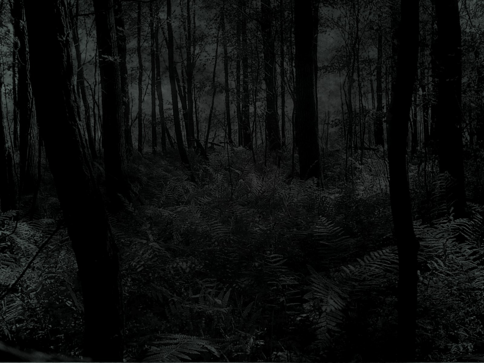 http://www.depesz.com/wp-content/uploads/2007/02/wallpapers/dark.forest.jpg