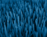 blue-greenmeadow_original.png