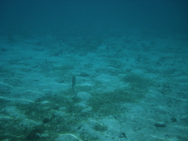 [dsc03711.jpg]