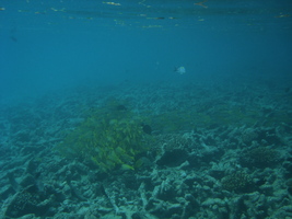 [dsc03727.jpg]