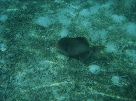 [dsc03781.jpg]