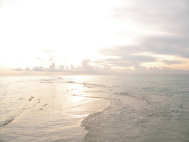 [dscn0007.jpg]