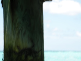 [dscn2617.jpg]