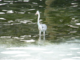 [dscn2811.jpg]