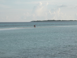 [dscn2830.jpg]