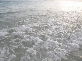 [dscn2991.jpg]