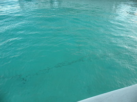 [dscn3024.jpg]