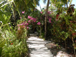[dscn3068.jpg]