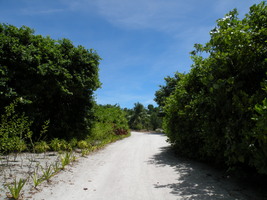 [dscn3080.jpg]