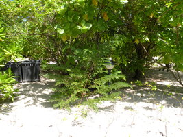 [dscn3313.jpg]