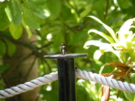 [dscn3356.jpg]