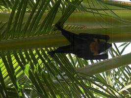 [dscn3504.jpg]