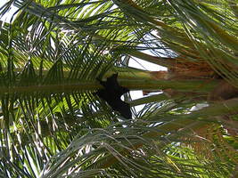 [dscn3519.jpg]