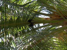 [dscn3555.jpg]