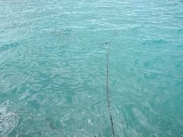 [dscn3601.jpg]