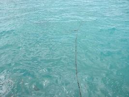 [dscn3602.jpg]