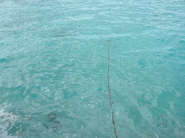 [dscn3611.jpg]