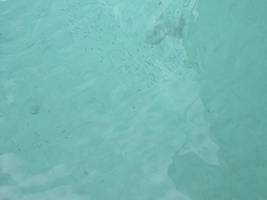[dscn3628.jpg]